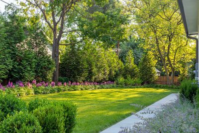 Can I Burn Wood in my Garden? What You Need to Know to Get Rid of Waste — According to a Lawyer