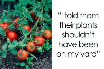 Woman Rips Out Neighbors’ Veggies From Her Own Backyard, They Demand Compensation