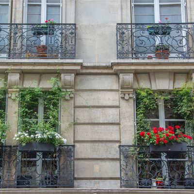 How to create your own Paris balcony garden at home for effortless 'French Girl' vibes