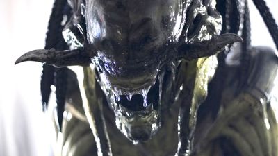 The complete guide to all the Alien Xenomorphs