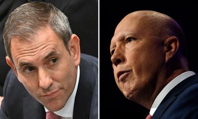 Peter Dutton deliberately stirred division with Gaza visa comments, Jim Chalmers says