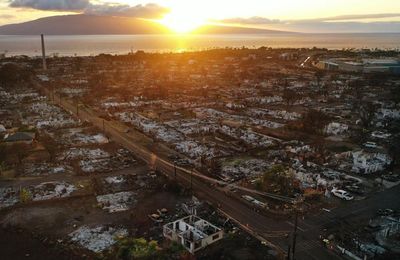 Arsenic and old sugarcane: cleaning up Hawaii in the fallout from wildfires