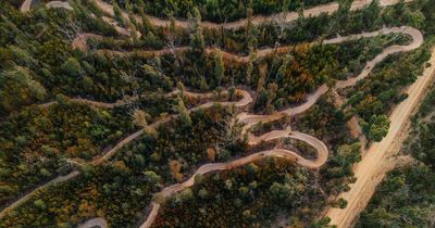 Mogo mountain bike magic leaves Canberra in its dust