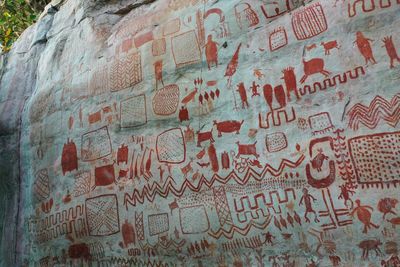 Giant ancient rock art reveals secrets of first Amazonian people, from mythology to diet