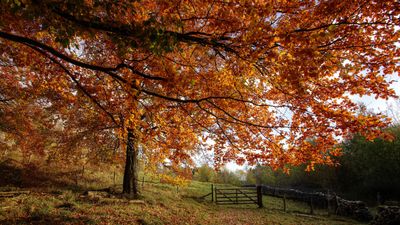 Fall Financial Check-In: How Balanced Is Your Portfolio?