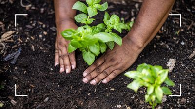 Do you know your soil type? Garden experts explain the different types and what each means for your plants