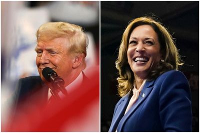 Harris and Trump zero in on key swing state as US election race heats up