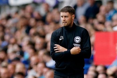 Fabian Hurzeler celebrates Premier League bow with win for Brighton at Everton