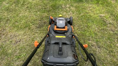 How to use a cordless lawn mower: 6 steps for a perfect lawn