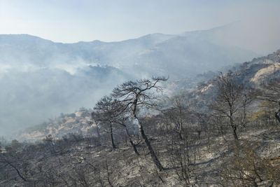 Turkey Battles Forest Fires For Third Day