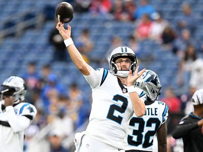 Panthers who have not been ruled inactive for preseason game vs. Jets