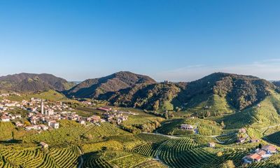 Soave summer: refreshing Italian wines