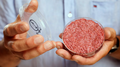 Lab-grown meat manufacturer files lawsuit against a Florida bill that bans the sale of 'cell-cultivated' meat