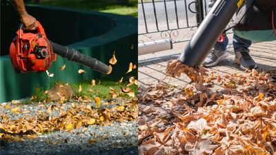 Leaf blowers vs leaf vacuums – which is best for your yard, and should you bother with either?