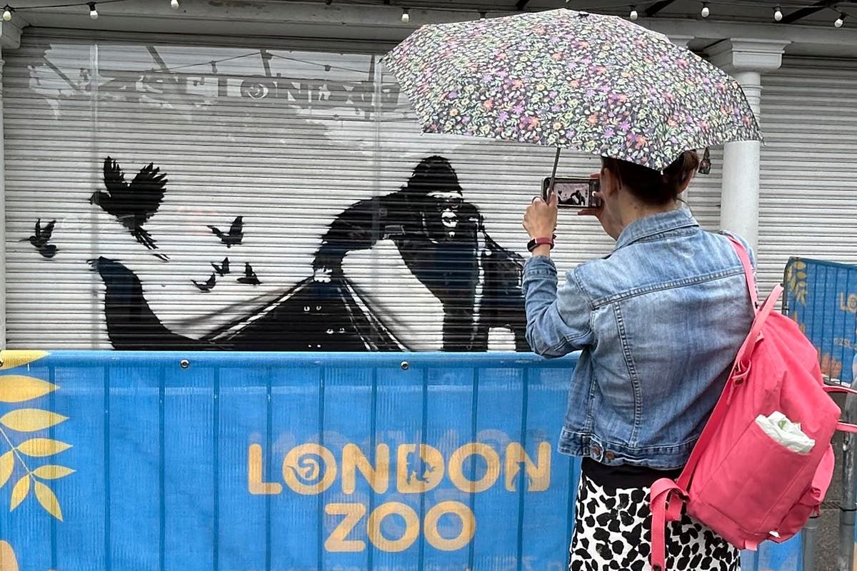 “Banksy was here.” London Zoo is the last to be removed…