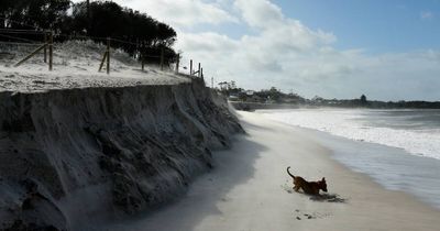 Jimmys beach erosion was a long time coming