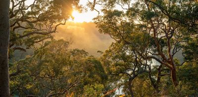 Australia’s nature is in deep crisis. These 3 easy steps would give our new environment laws teeth