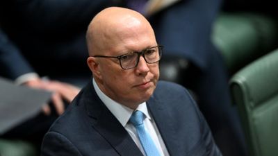 Talk of Dutton intervention in NSW Liberals 'premature'