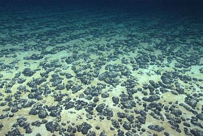 Mining deep sea despite unknowns