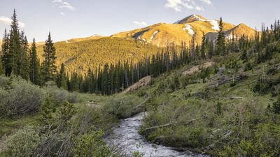 "Nature does not care about your safety and will kill you" – hiker on spiritual retreat lost for 4 days after being encouraged to leave phone behind