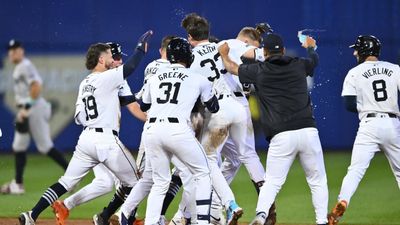 Tigers' Walk-Off Win Over Yankees in Williamsport Produced Incredible Photo