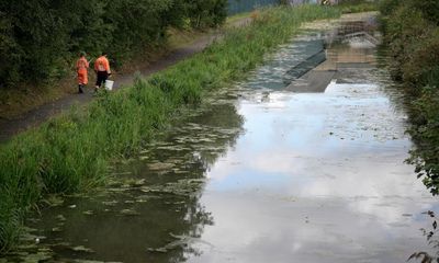 About 90kg of dead fish removed from Walsall canal after sodium cyanide leak