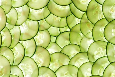 500 infections linked to cucumber recall