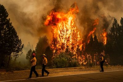 Firefighters significantly tame California's fourth-largest wildfire on record