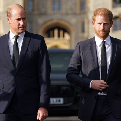 Prince William Allegedly Doesn't Want Prince Harry at His Future Coronation