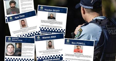 WANTED: police operation targets DV offenders across the Hunter