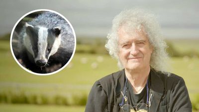 "Imagine how much money is being made here": Brian May slams the Countryside Alliance for criticising his badger culling documentary