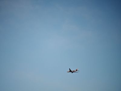 Missing pair of scissors leads to dozens of flights being cancelled and hundreds delayed