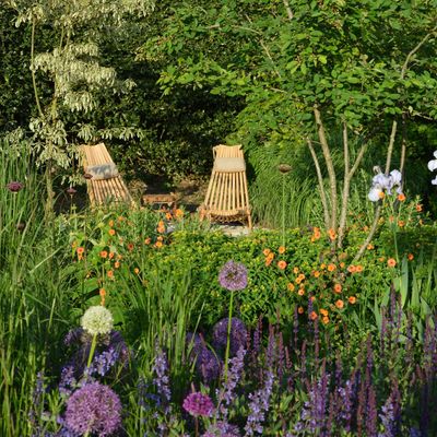 10 outdoor reading nook ideas that will inspire you to carve out a quiet retreat in your garden