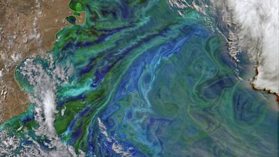 Earth from space: Picturesque plankton paint peculiar patterns in Patagonia