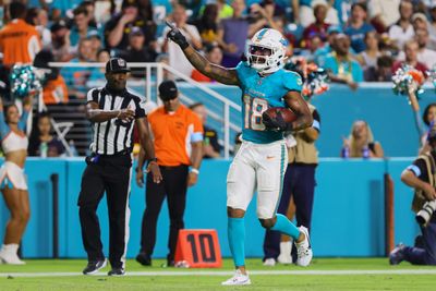 Injuries at WR have given Dolphins coaches clarity in roster battles