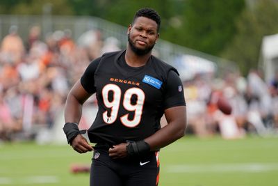 Bengals DE Myles Murphy suffers apparent injury during joint practice with Colts