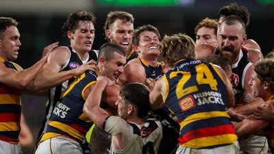 Police probe Adelaide's Crouch for clash with Port fan