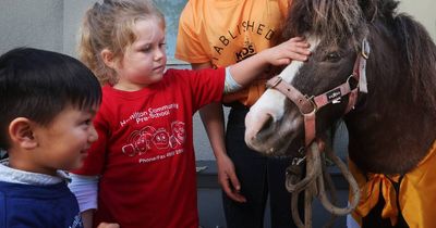 Ponies help launch preschool kindness program with 'worry and wish' carrots