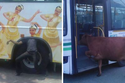 50 Random, Funny, And Unhinged Images That Show Off The Bizarre Side Of India