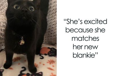 50 Heartwarming Posts To Combat The Negativity Of The World