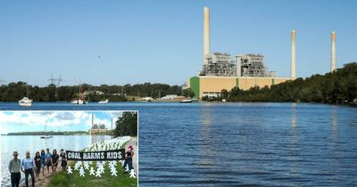 'Premature deaths': Citizens' inquiry into coal-fired power station health impacts