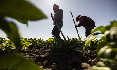 California Legislators Say New Laws Must Protect Farmworkers From Extreme Heat