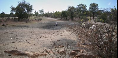 Drought is devastating southern Africa’s crops: why it’s happening and what can be learned