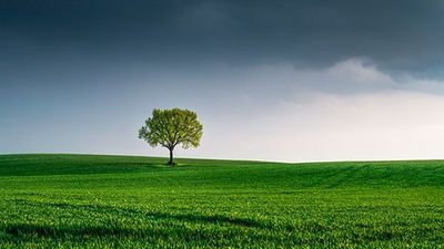 The sustainability crisis in the AI industry: Here's how change can happen