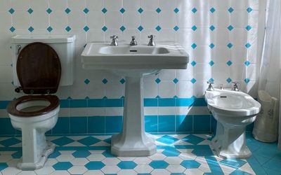 Best toilet plungers for efficient unblocking: Our top picks for DIY success