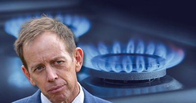 Greens want to ban new gas appliances sooner in bid for faster climate action