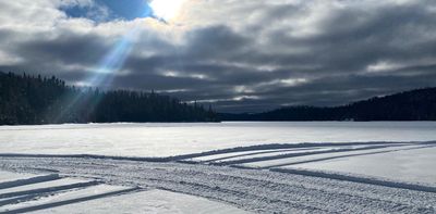 Lakes don’t sleep in winter! There’s a world living under ice