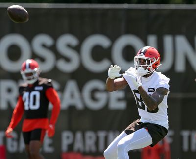 Former Georgia wide receiver finds new NFL home