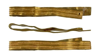 Boy finds Roman-era gold military bracelet while walking dog in UK