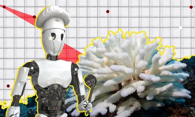 The Crunch: robots slicing tomatoes and climate tipping points